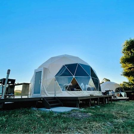 Hillview Farmstay Gundagai Buitenkant foto