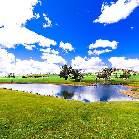 Hillview Farmstay Gundagai Buitenkant foto