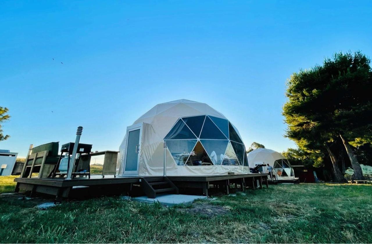 Hillview Farmstay Gundagai Buitenkant foto