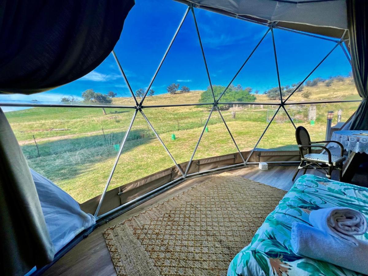 Hillview Farmstay Gundagai Buitenkant foto