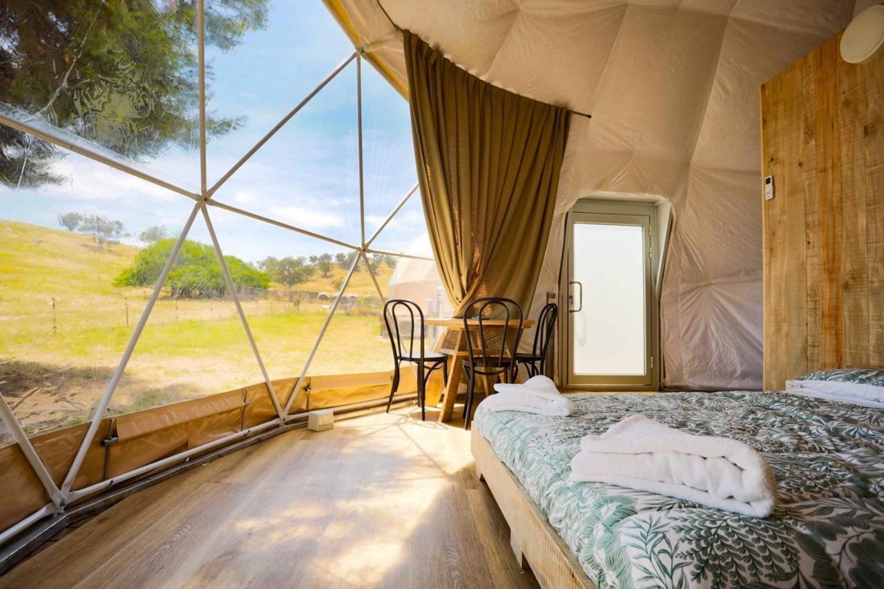 Hillview Farmstay Gundagai Buitenkant foto