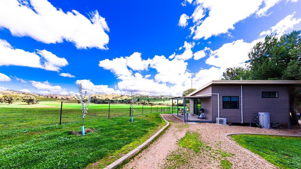 Hillview Farmstay Gundagai Buitenkant foto
