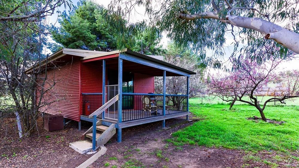Hillview Farmstay Gundagai Buitenkant foto