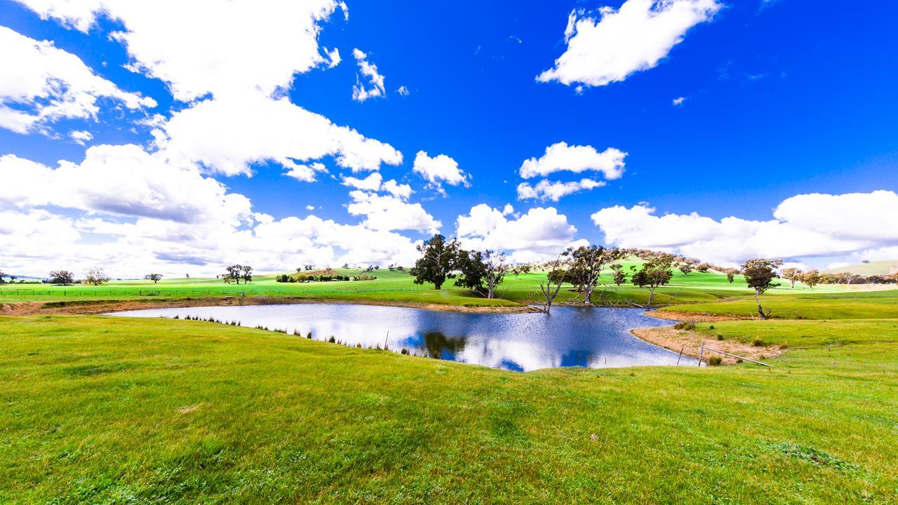 Hillview Farmstay Gundagai Buitenkant foto