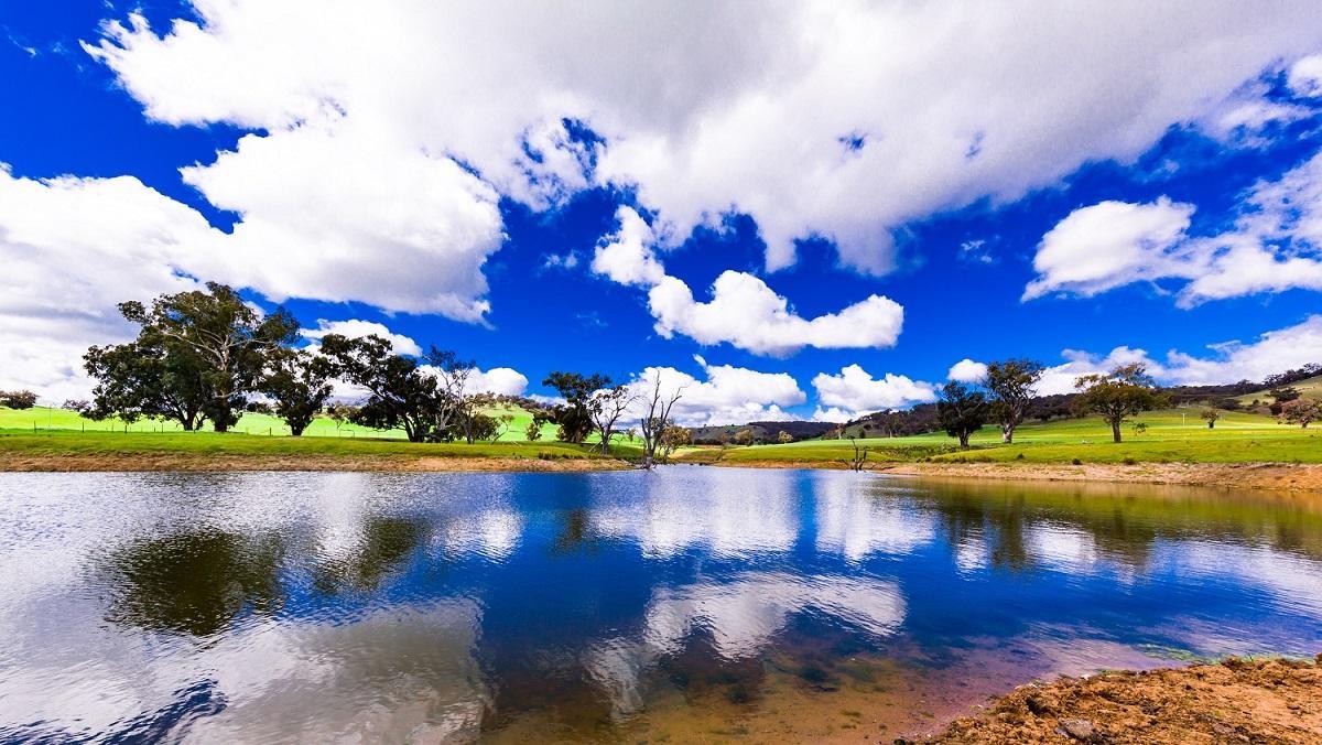 Hillview Farmstay Gundagai Buitenkant foto