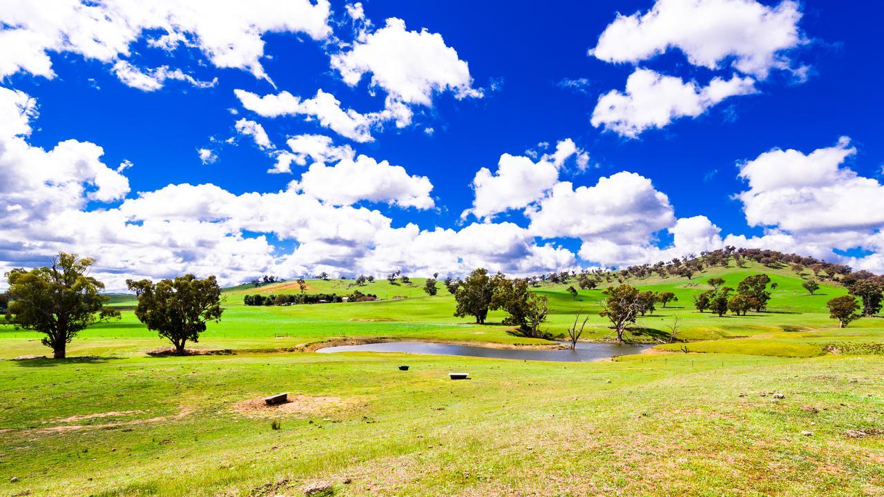 Hillview Farmstay Gundagai Buitenkant foto