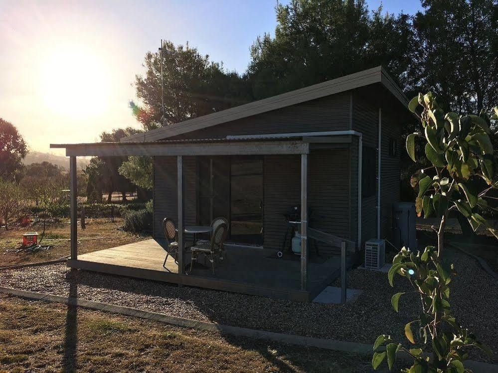 Hillview Farmstay Gundagai Buitenkant foto