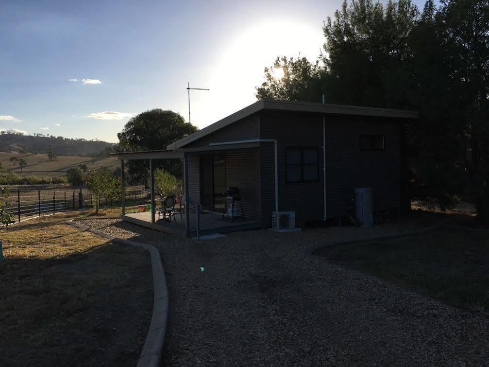 Hillview Farmstay Gundagai Buitenkant foto