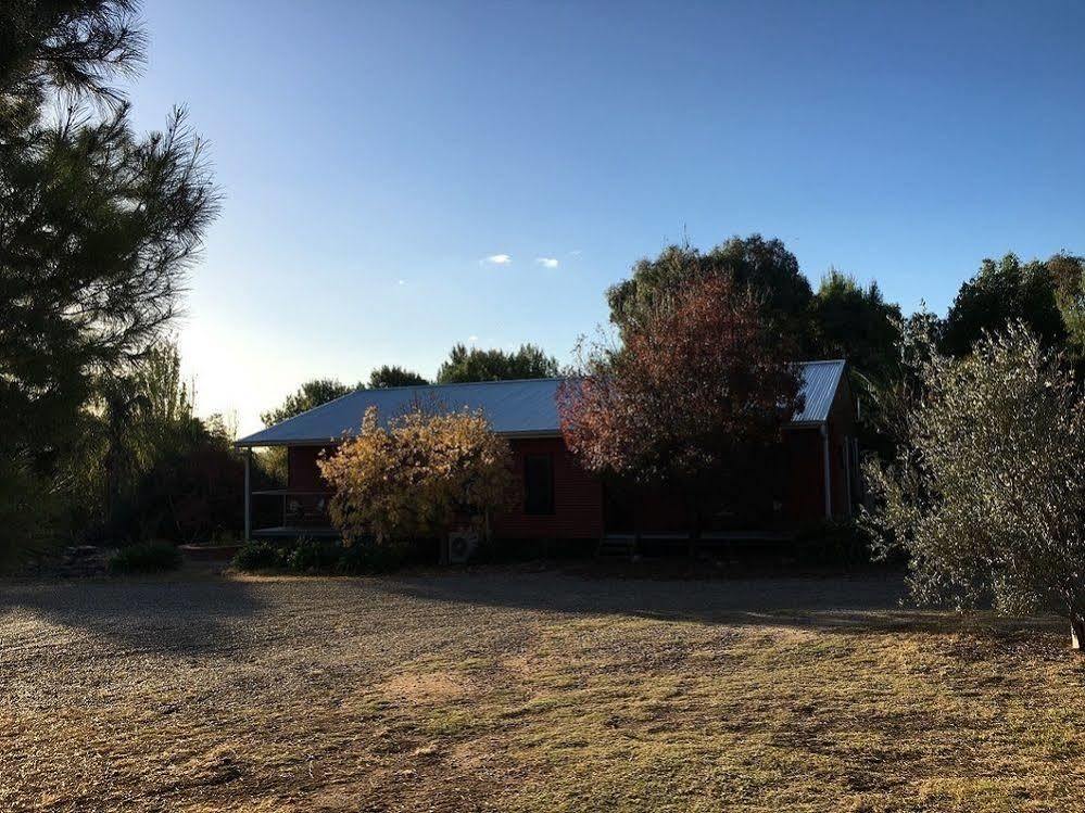 Hillview Farmstay Gundagai Buitenkant foto