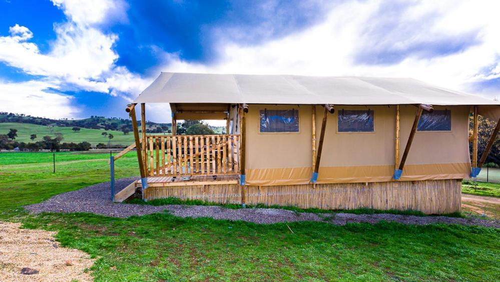 Hillview Farmstay Gundagai Buitenkant foto