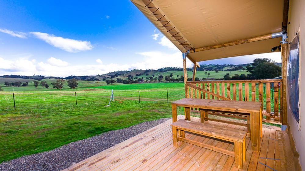 Hillview Farmstay Gundagai Buitenkant foto