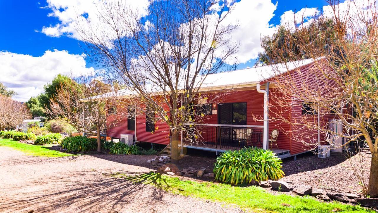 Hillview Farmstay Gundagai Buitenkant foto