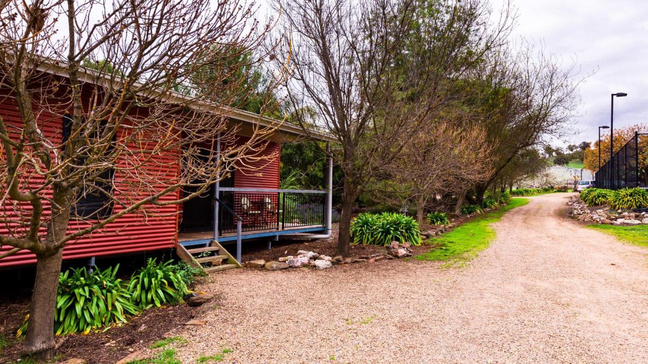 Hillview Farmstay Gundagai Buitenkant foto